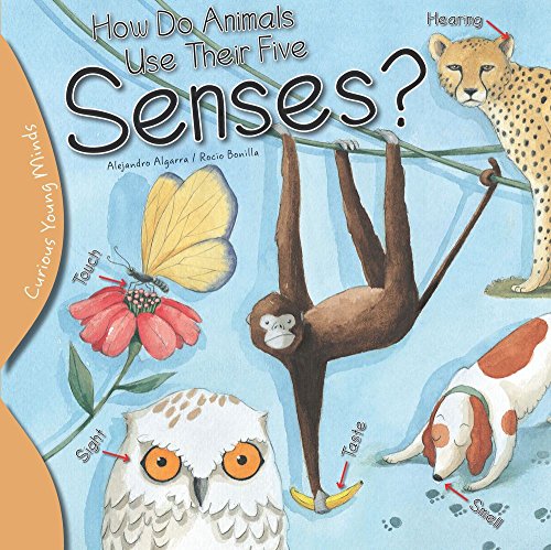 Imagen de archivo de How Do Animals Use their Five Senses? (Curious Young Minds) a la venta por SecondSale