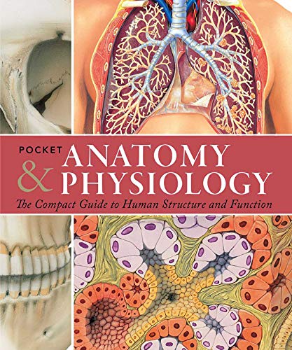 Beispielbild fr Pocket Anatomy & Physiology: The Compact Guide to the Human Body and How It Works zum Verkauf von BooksRun