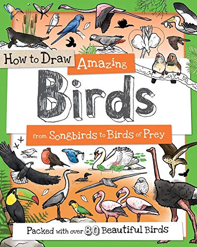 Stock image for How to Draw Amazing Birds: From Songbirds to Birds of Prey for sale by ThriftBooks-Dallas