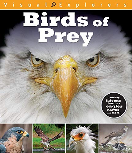 9781438010816: Birds of Prey (Visual Explorers)