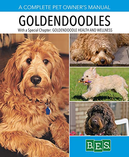 9781438011622: Goldendoodles