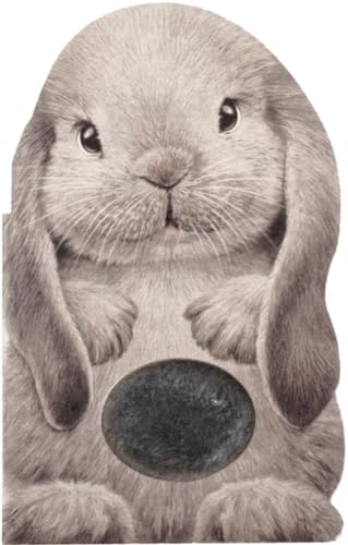 Beispielbild fr Furry Bunny (Mini Friends Touch & Feel) zum Verkauf von SecondSale