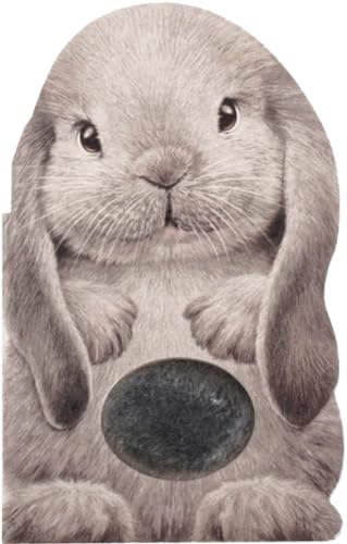 Stock image for Furry Bunny for sale by Blackwell's