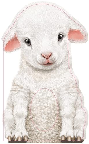 Beispielbild fr Furry Lamb (Mini Friends Touch & Feel Books) zum Verkauf von SecondSale