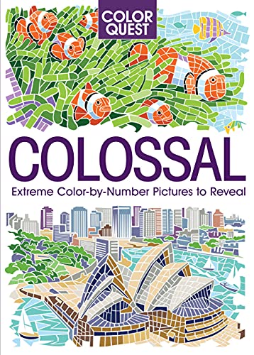 Stock image for Color Quest: Colossal: An Adult Activity Book for sale by Books-FYI, Inc.