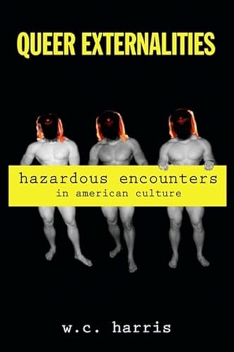 Beispielbild fr Queer Externalities: Hazardous Encounters in American Culture (SUNY series in Queer Politics and Cultures) zum Verkauf von Books From California