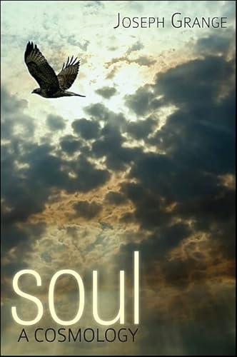 Beispielbild fr Soul: A Cosmology (Cosmology Trilogy) zum Verkauf von Books From California