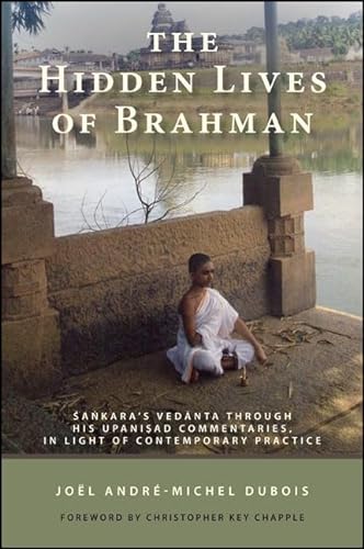 Imagen de archivo de The Hidden Lives of Brahman Sankara's Vedanta Through His Upanisad Commentaries, in Light of Contemporary Practice a la venta por Michener & Rutledge Booksellers, Inc.