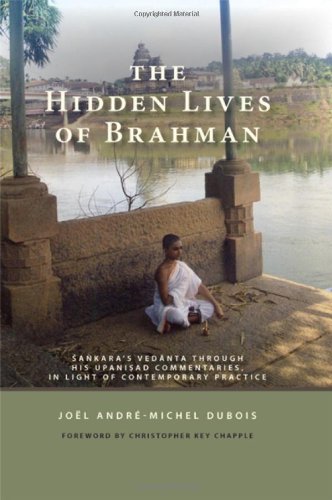 Stock image for The Hidden Lives of Brahman: Sankara's Vedanta Through His Upanisad Commentaries, in Light of Contemporary Practice (Suny Series in Religious Studies) for sale by Books From California
