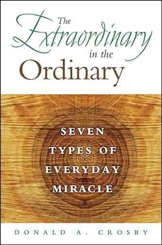 9781438464596: The Extraordinary in the Ordinary: Seven Types of Everyday Miracle
