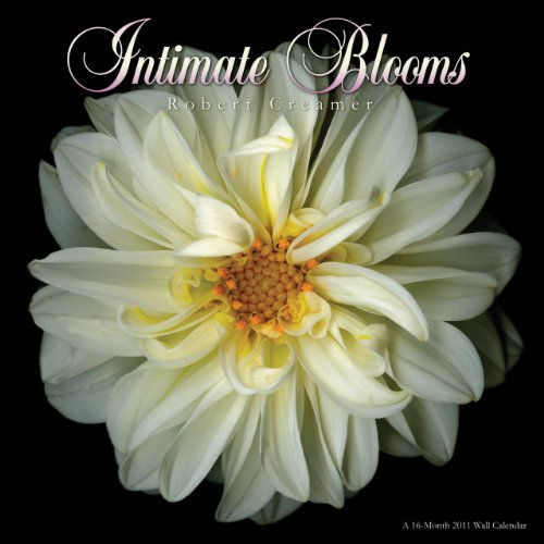 9781438806976: Intimate Blooms: A 16-Month Wall Calendar