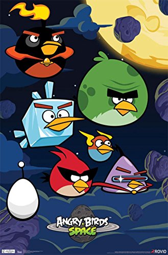 Imagen de archivo de Angry Birds Space: Birds a la venta por Ergodebooks