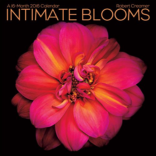 9781438840116: Intimate Blooms 2016 Calendar