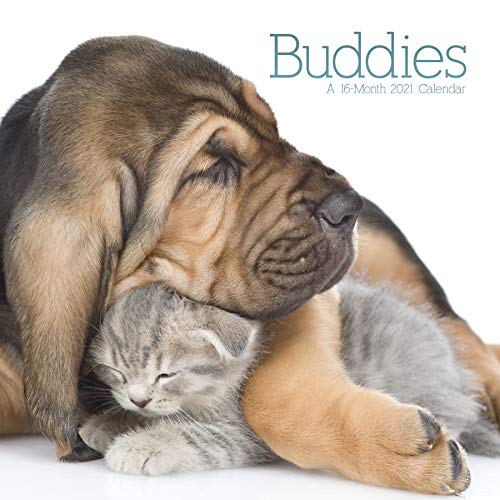 Beispielbild fr 2021 Buddies Mini - 7" x 7" Calendar zum Verkauf von Jenson Books Inc