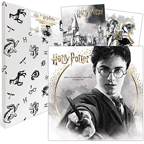 Stock image for Harry Potter 2021 Calendar: Includes 2 Posters for sale by GF Books, Inc.