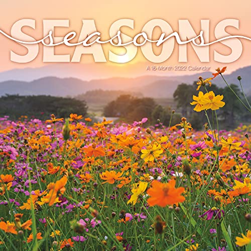Stock image for 2022 Seasons Mini Wall Calendar for sale by GF Books, Inc.