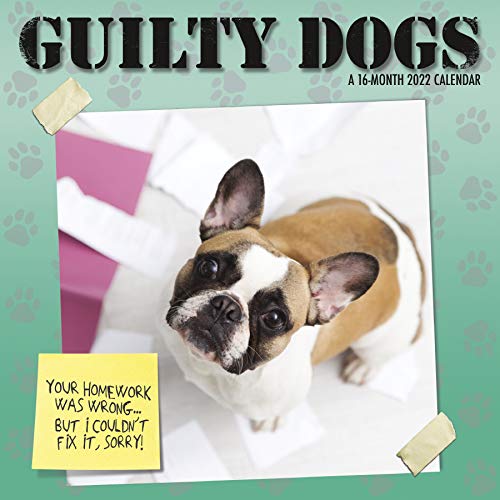 Imagen de archivo de 2022 Guilty Dog Mini Wall Calendar a la venta por GF Books, Inc.