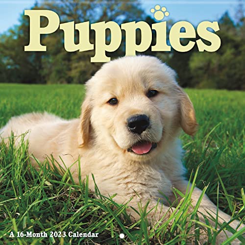 Stock image for 2023 Puppies Mini Wall Calendar for sale by Your Online Bookstore