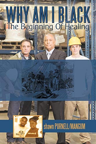 Stock image for Why Am I Black: The Beginning of Healing for sale by Chiron Media