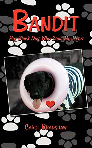 Stock image for Bandit: Big Black Dog Who Stole My Heart for sale by ThriftBooks-Dallas