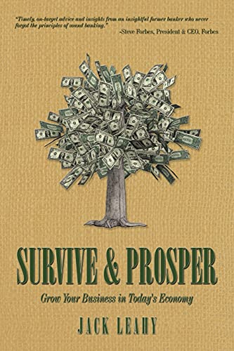 9781438993959: Survive & Prosper: Grow Your Business in Today's Economy