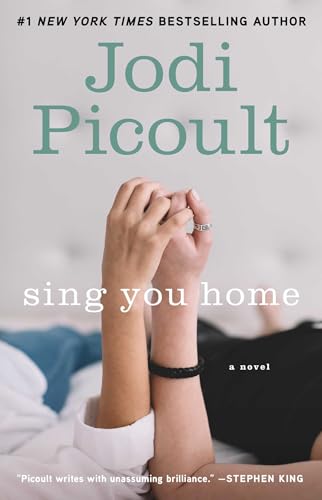 9781439102732: Sing You Home: A Novel