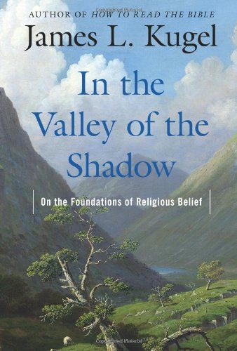 Stock image for In the Valley of the Shadow : On the Foundations of Religious Belief for sale by Better World Books