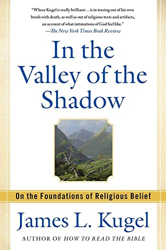 Stock image for In the Valley of the Shadow : On the Foundations of Religious Belief for sale by Better World Books