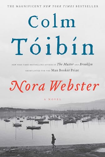Beispielbild für Nora Webster: A Novel zum Verkauf von Discover Books