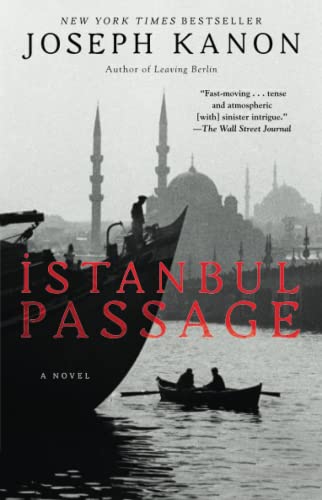 9781439156438: Istanbul Passage: A Novel