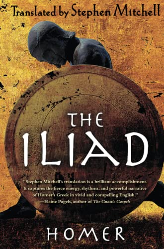 Imagen de archivo de The Iliad a la venta por ZBK Books