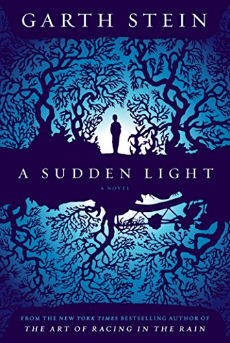 9781439187036: A Sudden Light: A Novel