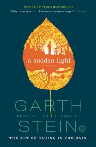 9781439187043: A Sudden Light: A Novel