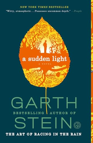 9781439187043: A Sudden Light: A Novel