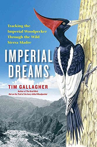 Beispielbild fr Imperial Dreams : Tracking the Imperial Woodpecker Through the Wild Sierra Madre zum Verkauf von Better World Books