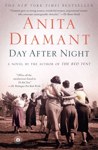 9781439197141: Day After Night: A Novel