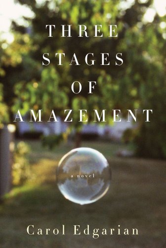Beispielbild fr Three Stages of Amazement: A Novel zum Verkauf von SecondSale
