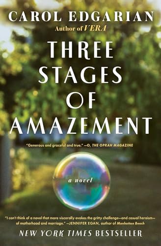 Stock image for Three Stages of Amazement: A Novel for sale by SecondSale