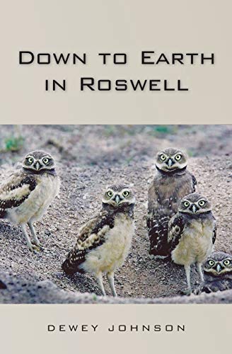 9781439206492: Down to Earth in Roswell
