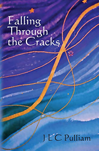 9781439247396: Falling Through the Cracks
