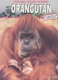 Orangutan (Animals Under Threat) (9781439539309) by Orme, David