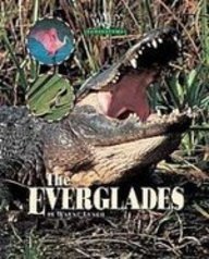 The Everglades (Our Wild World: Ecosystems) (9781439544341) by Lynch, Wayne