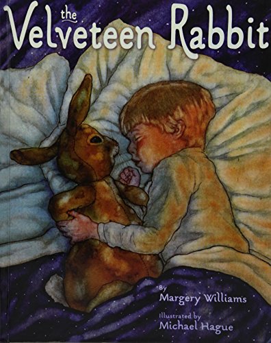 Stock image for The Velveteen Rabbit: Or How Toys Become Real for sale by Hippo Books