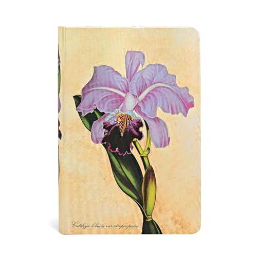 Stock image for Brazilian Orchid Journal: Lined Mini (Painted Botanicals) for sale by HPB-Blue