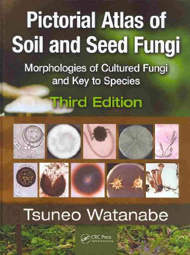 9781439804193: Pictorial Atlas of Soil and Seed Fungi: Morphologies of Cultured Fungi and Key to Species,Third Edition: 4 (Mycology)