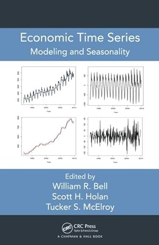 Stock image for Economic Time Series for sale by Blackwell's