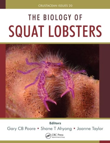 9781439866146: The Biology of Squat Lobsters