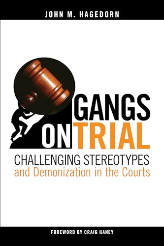 9781439922309: Gangs on Trial: Challenging Stereotypes and Demonization in the Courts (Studies in Transgression)
