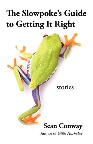 Imagen de archivo de The Slowpoke's Guide to Getting It Right: Stories a la venta por Lucky's Textbooks