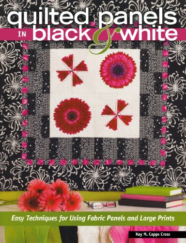 Imagen de archivo de Quilted Panels in Black and White: Fast and Friendly Techniques for Using Fabric Panels and Large Prints a la venta por Gulf Coast Books